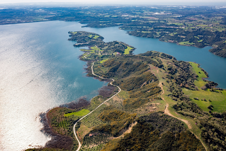 Artificial Lake of Pineios 6