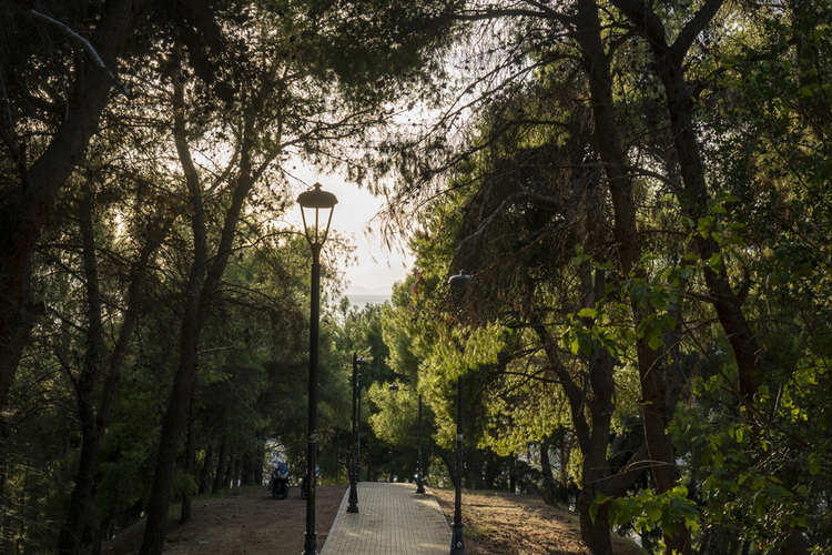 _dasyllio_patras_8.jpg