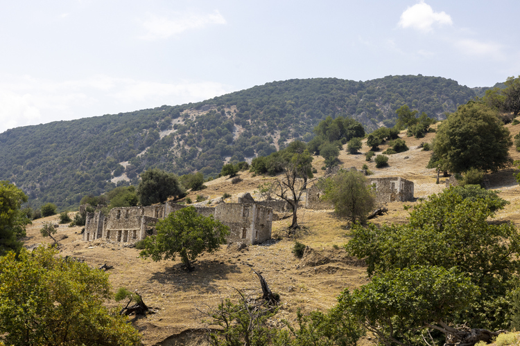 Βούστρι