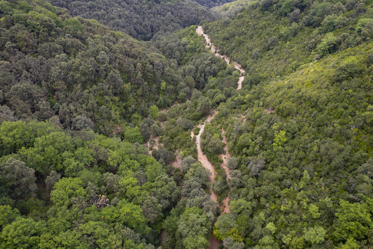 Goura-schlucht