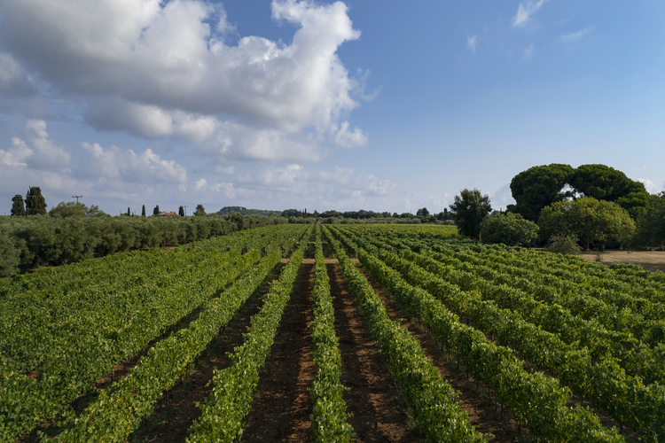 Weingut Mercouri