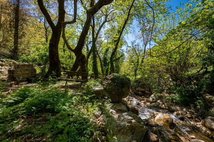 palios_neromylos_-_nerotribi_papazafeiri_-_oreini_...