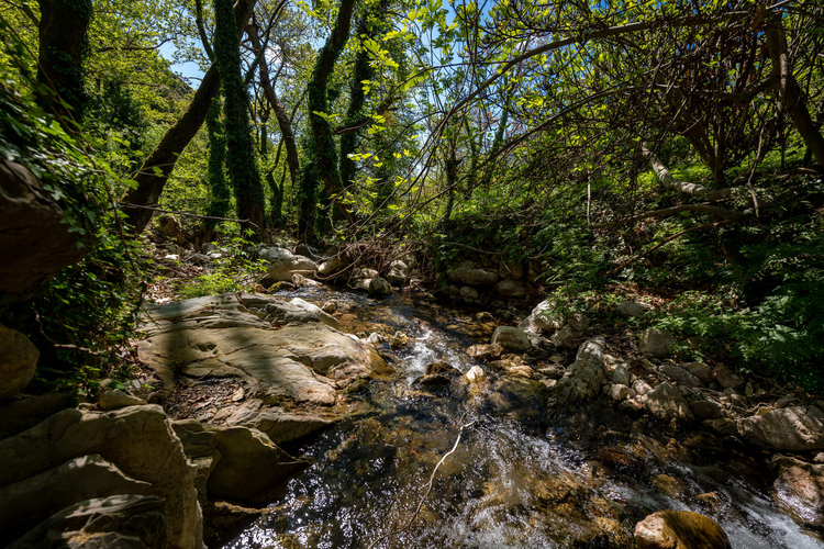 palios_neromylos_-_nerotribi_papazafeiri_-_oreini_...