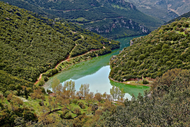 Ποτάμι του Λάδωνα