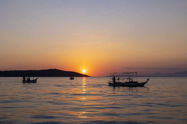 Shrimp Fishing