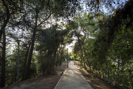 La Forêt de Patras