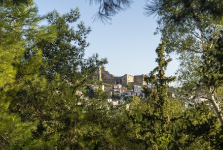 _dasyllio_patras_6.jpg
