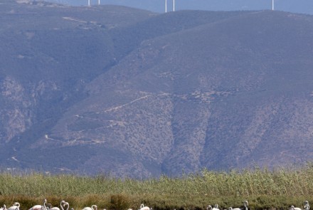 _ydrobiotopos_alykis_8.jpg