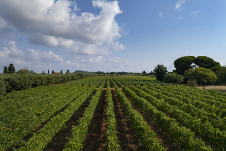 Weingut Mercouri