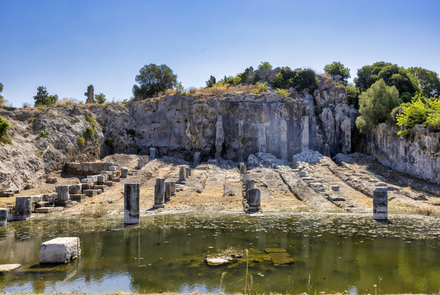 Οινιάδες