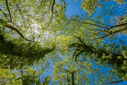 palios_neromylos_-_nerotribi_papazafeiri_-_oreini_...