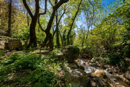 palios_neromylos_-_nerotribi_papazafeiri_-_oreini_...