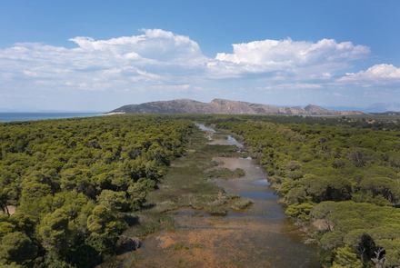 Hydrotope Von Kotychi-strofylia