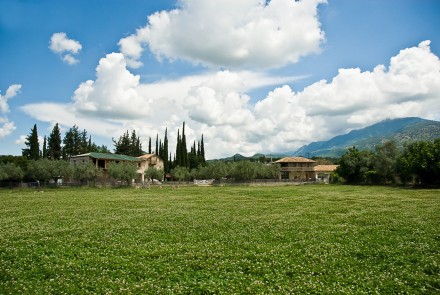 thestia-winery-03.jpg